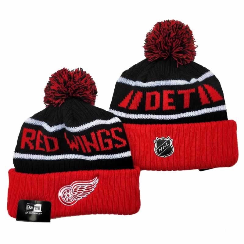 Detroit Red Wings Team Logo Knit Hat YD (3),We sell and wholesale Detroit Red Wings Team Logo Knit Hat YD (3) on line form chian!